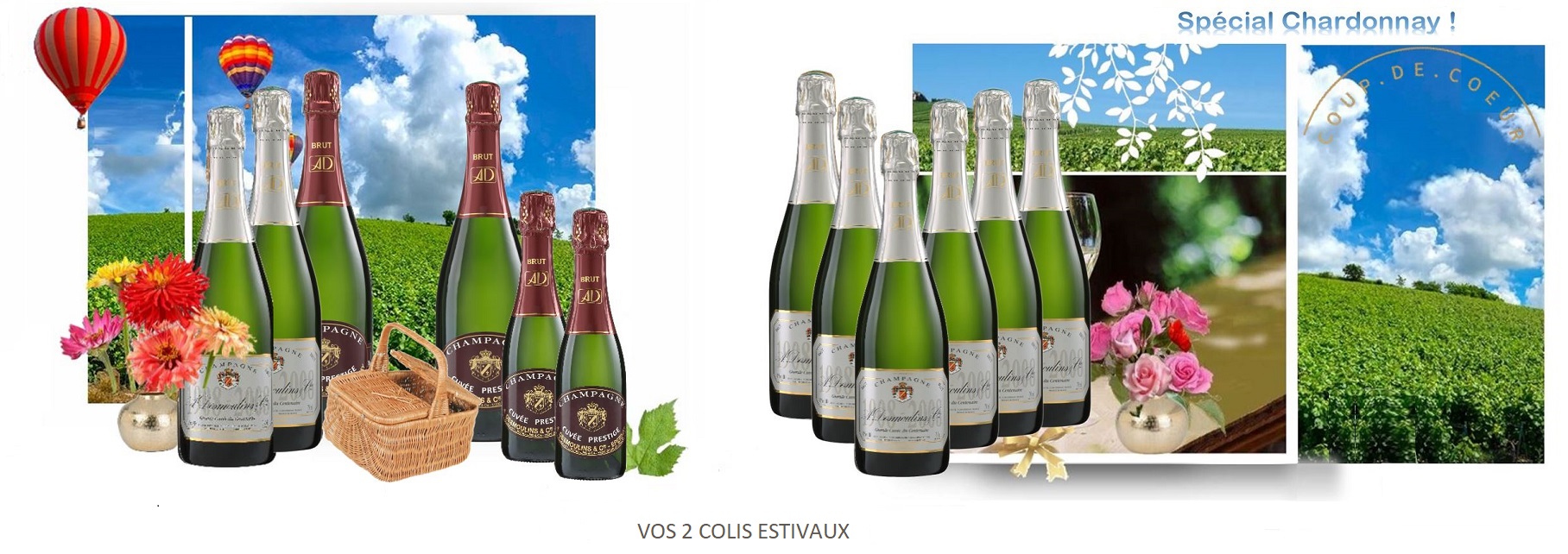 Image DIAPO 2 Les 2 caisses COUP DE COEUR mises en AVANT OK 